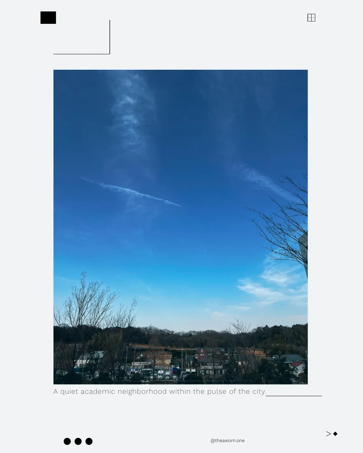 A Quiet Neighborhood